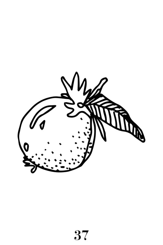 TATTOO FLASH DAY | MOTIF #37